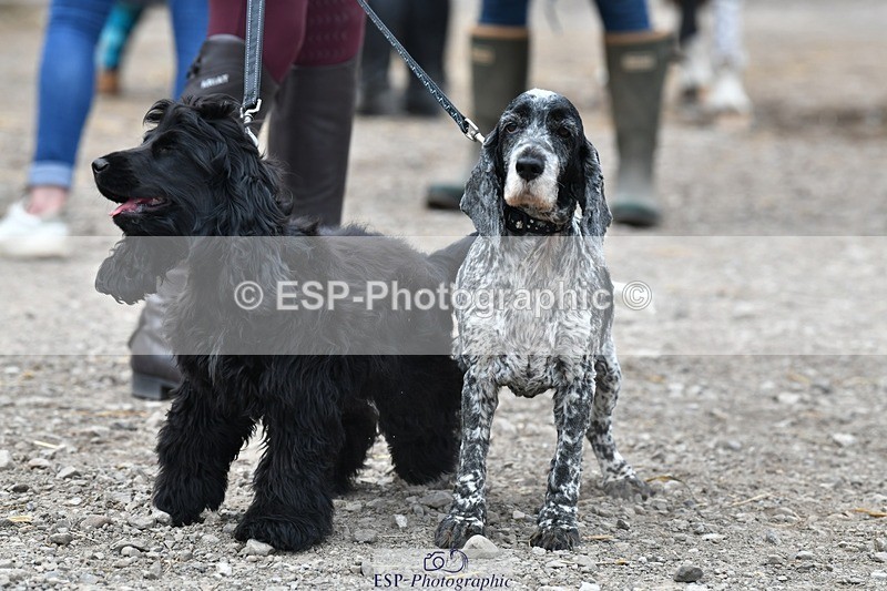 230817-124214-02796 - Stable Shots