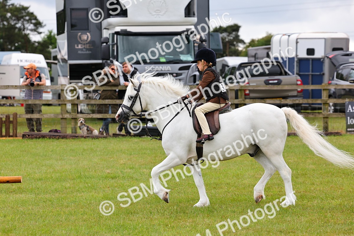 SBM_08685 - Class 42-43 - LIHS BSPS Heritage Working Sports Pony