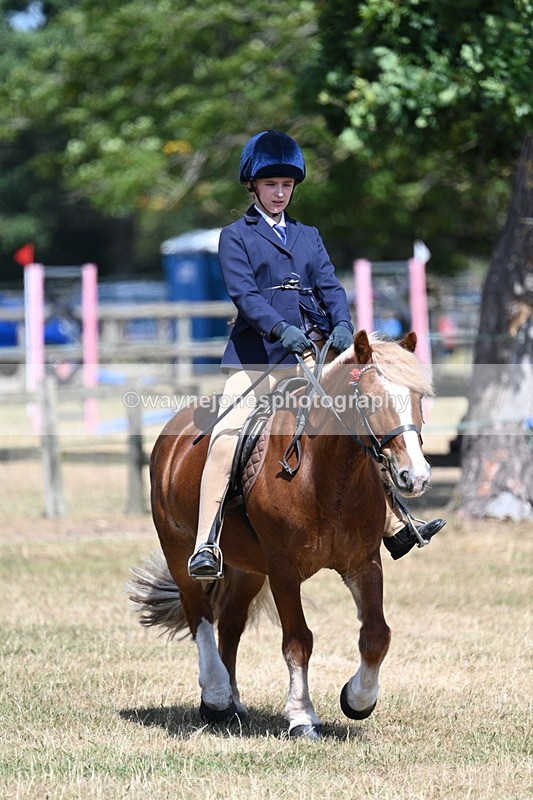 WJ7_3377 - Class 8 Ridden Veterans