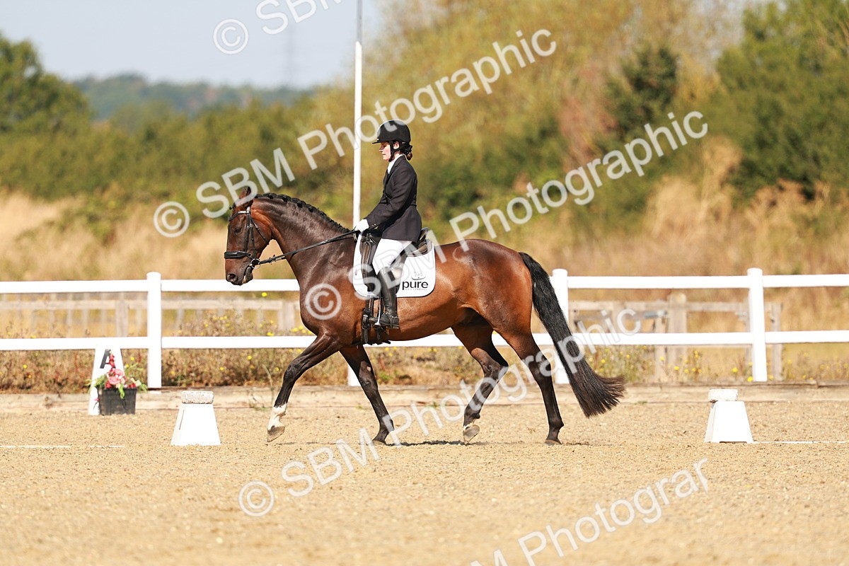 SBM_017684 - Class 9 - N5 Bronze 10.33.11.36