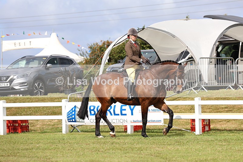 3E7A9283 - Class 4: Rising Star M/H Hunter