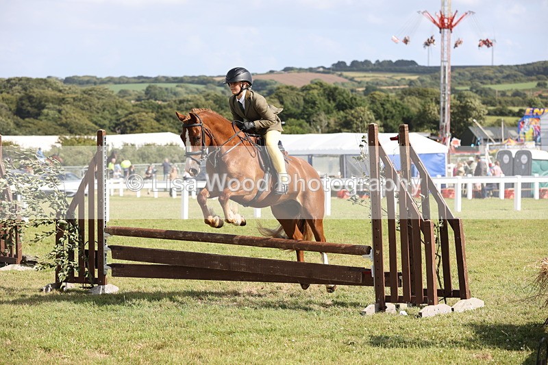 JPP_2763 - Class 20: Working Hunter 70cm