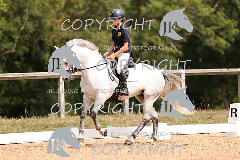 _R6A2779 - Dressage Morning