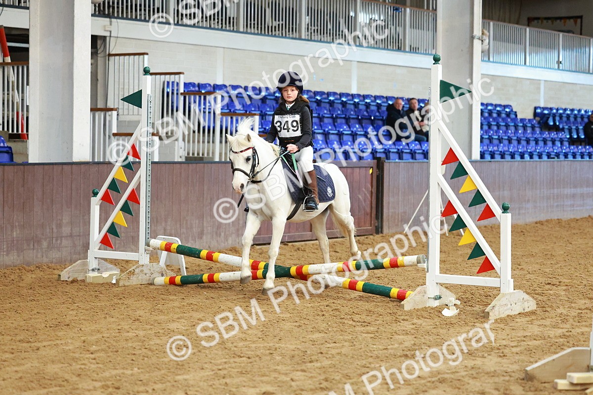 SBM_005156 - Class 1 - 40cm