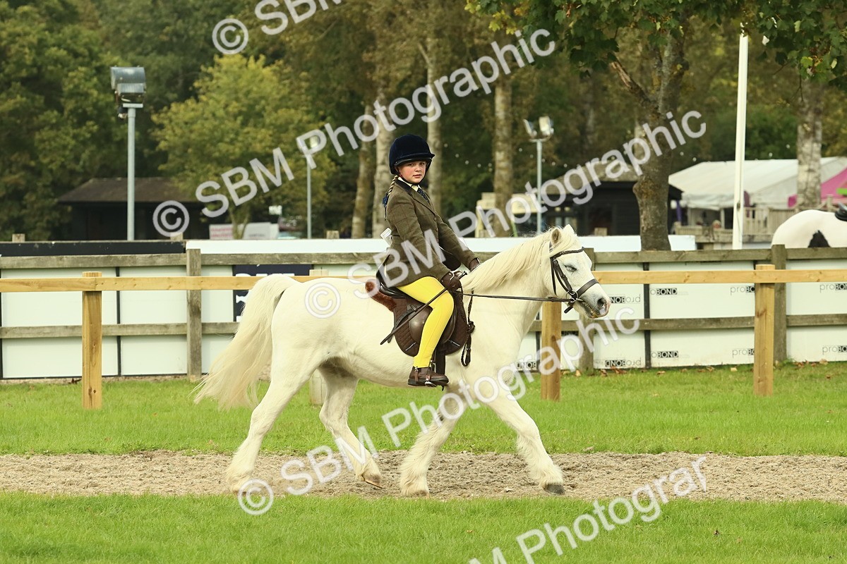 SBM_69906 - S59 - Mountain & Moorland Ridden Small Breeds