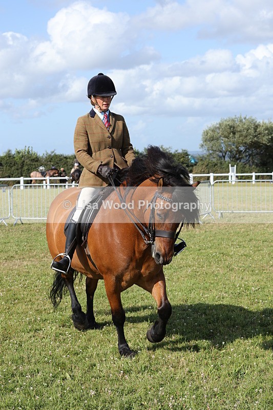 1X9A5998 - Class 42: NPS Dales, Fell, Highland