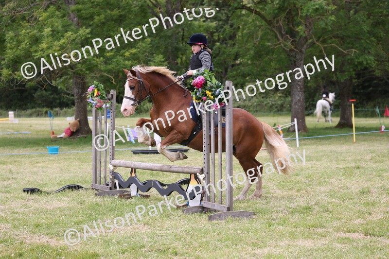 20260614-3090 - Class 22 - Open Working Hunter