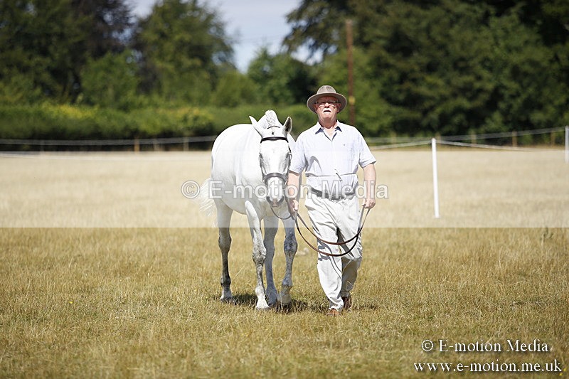 _C7A9700 - BVRC Sow 2018 Ring 2