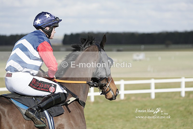 PtP 260223 406 - South & West Wilts Point-to-Point Larkhill 26/02/23