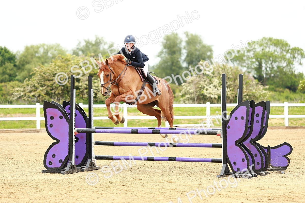 SBM_000305 - Class 2 - Senior British Novice - 90cm