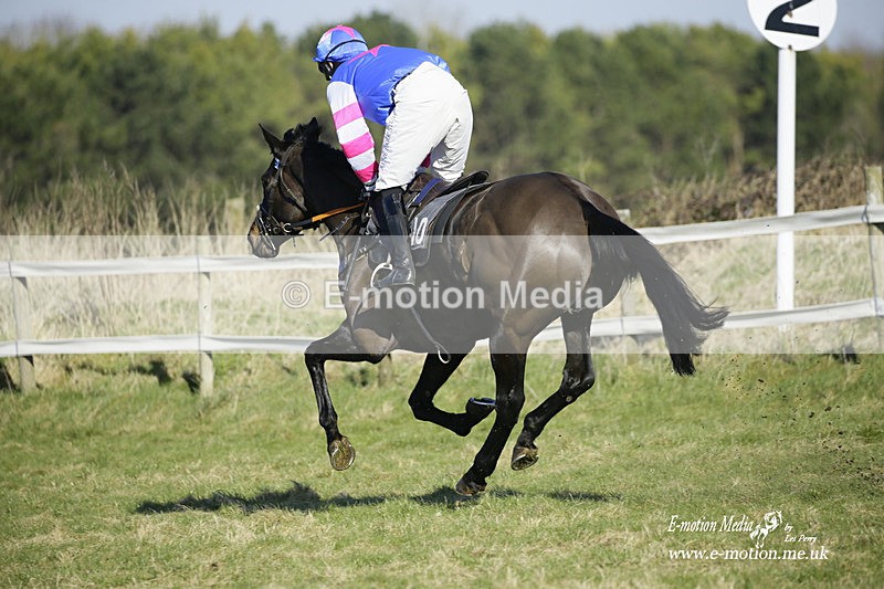 PtP 270222 11 - South & West Wilts Point-to-Point Larkhill 27/02/22