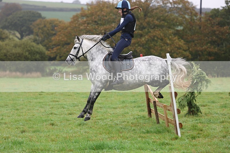 3E7A0785 - Class 1: 65cm: Rails