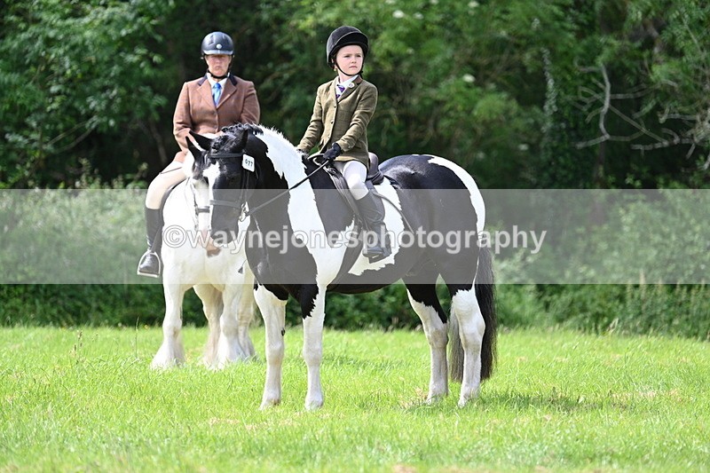 WJ7_1424 - Class 11 Condition & Turnout