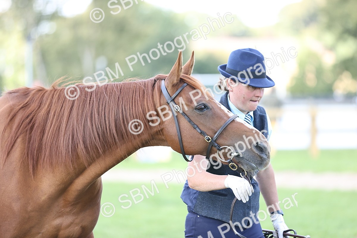 SBM_26253 - S5 - Novice & Newcomers In Hand