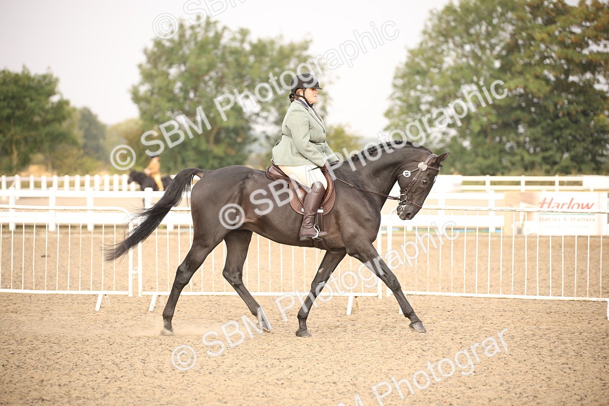 SBM_10199 - Class 402 Riding Club Horse