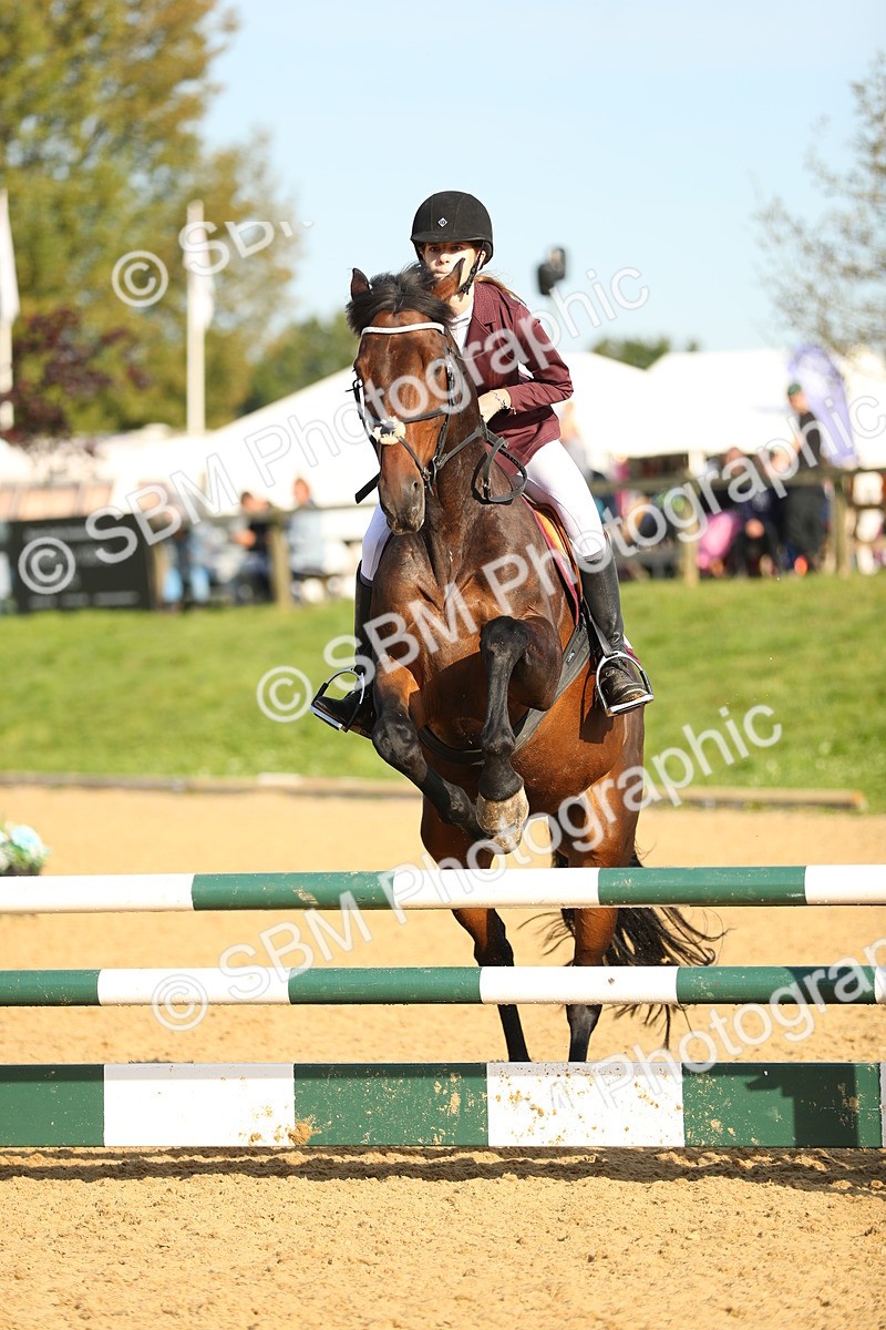 SBM_60240 - J41 - Grand Tour 95cm Championship