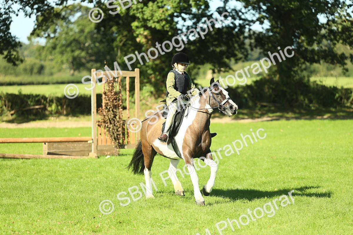 SBM_36527 - S29 - Novice & Newcomers Working Hunter Pony