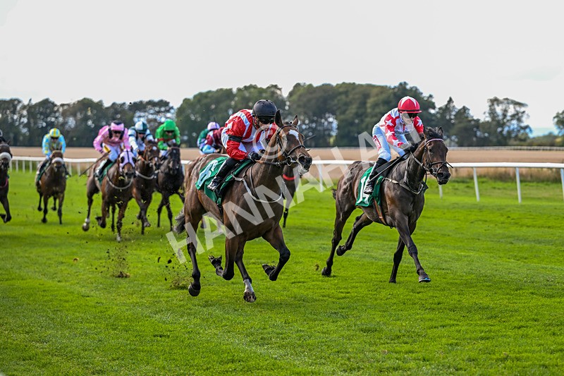 140926-Race 2-Bladey Lady-6817 - Race 2 2.51pm Patrick Hibbert-Foy Memorial Nursery Handicap