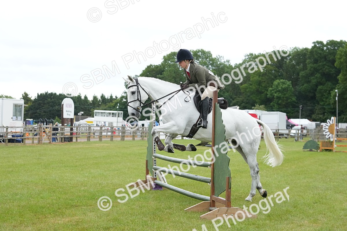 SBM_12588 - Class 97-98 - LIHS BSHA Rising Star Working Show Horse Hunter