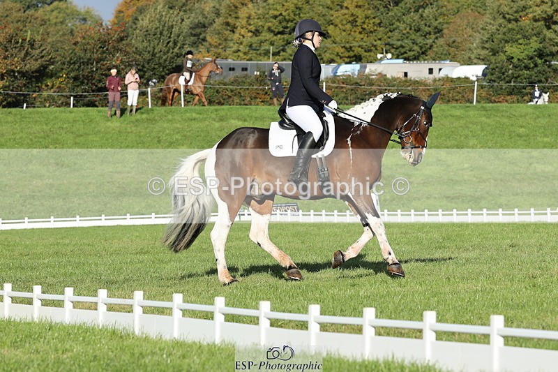 251024A-100453-07651 - D-341-Charlotte.Northcott