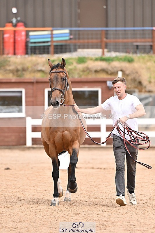 250716-154434-02175 - Trot Up 3.30 to 4.30