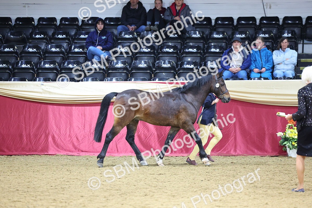 SBM_18571 - Class B Junior Champ 11-16 years