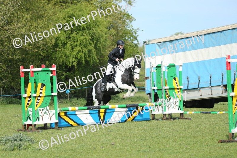 20260426-1461 - Class 14 - Novice 60cm