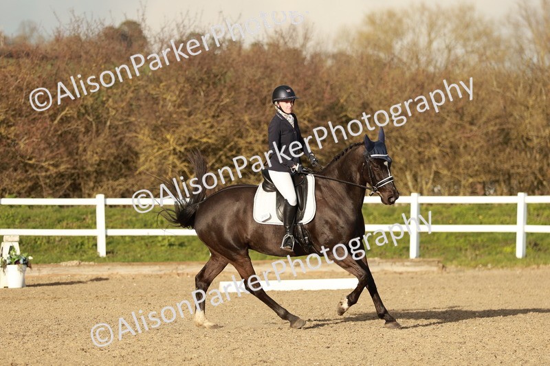 20260314-6337 - CT7 - Elementary 2