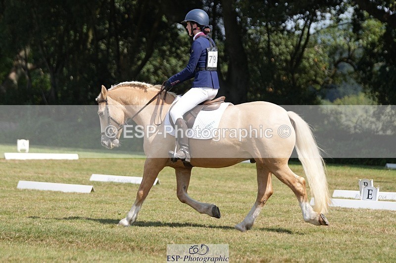 250823A-130715-31004 - Arena B