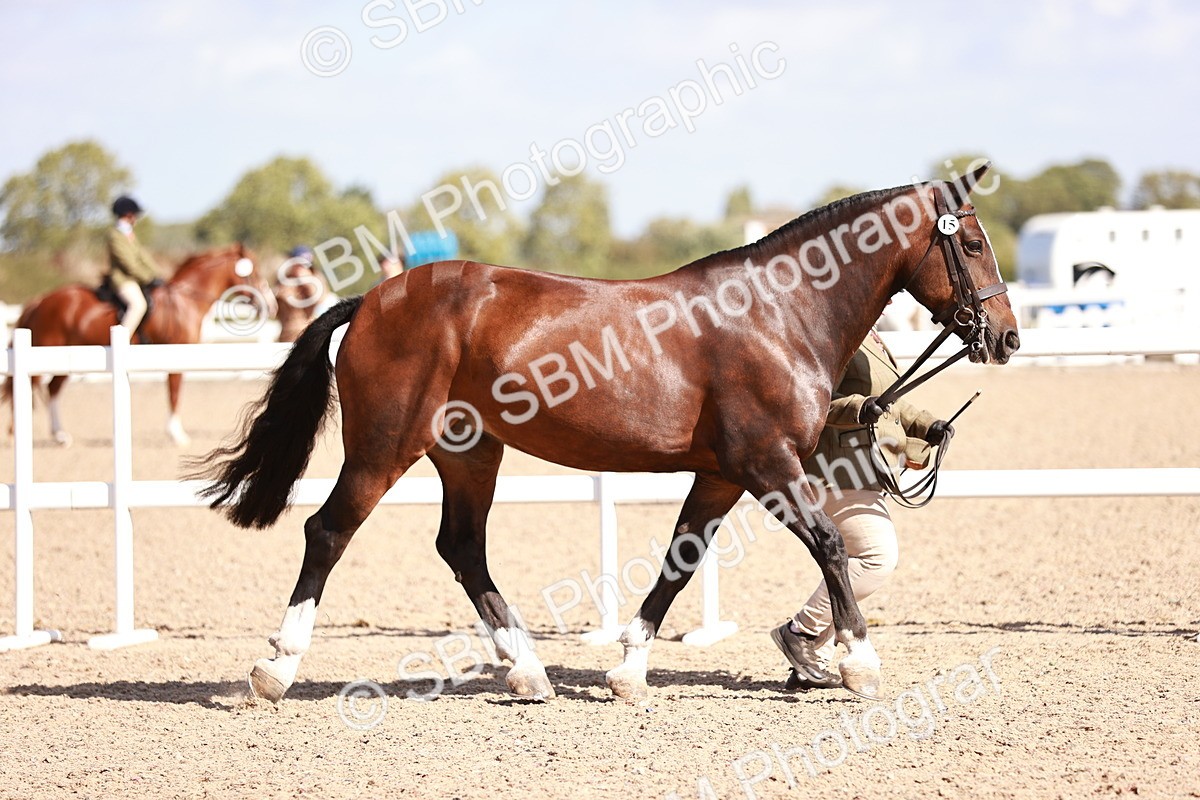 SBM_22958 - Class 707 - IH groom Helpers Class
