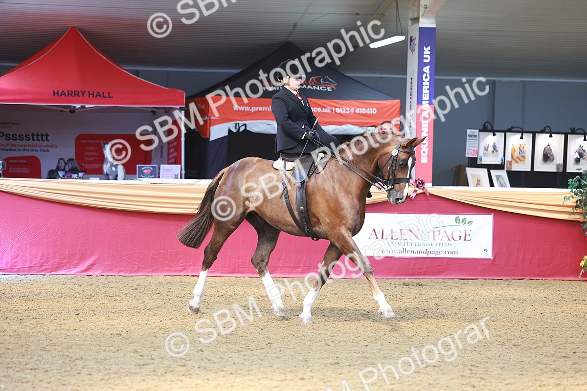SBM_12552 - Class 103 - HOYS Veteran Qualifier - Ridden Pre Vet