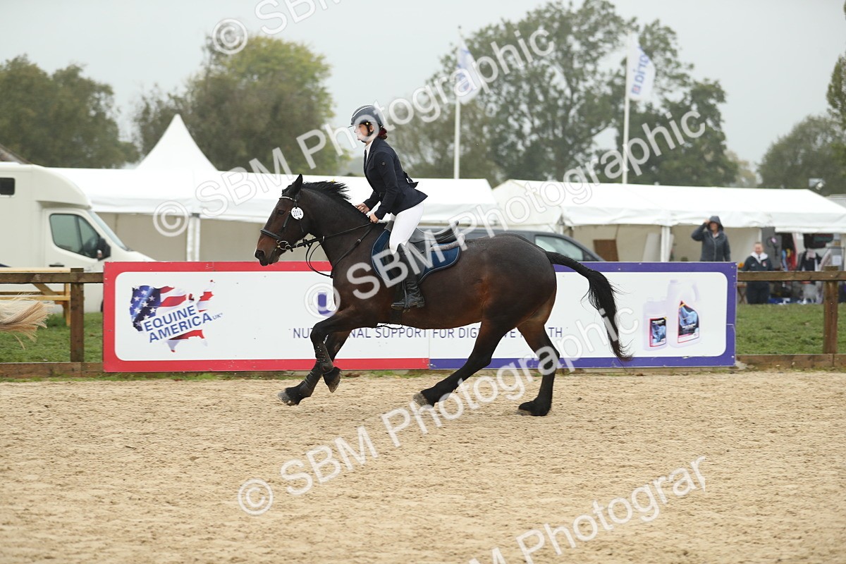 SBM_74155 - J16 - Junior Pony 75cm Championship