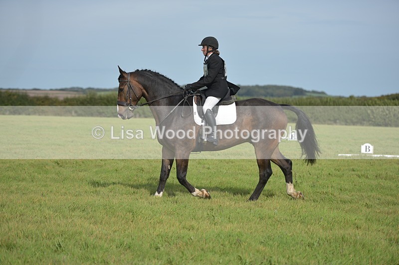 RAY_7912 - Class 2B: Trekenning Open: Dressage