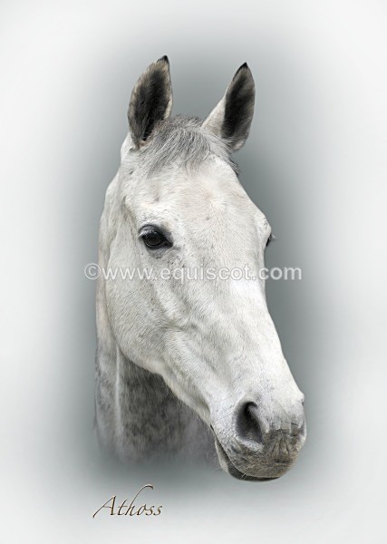 AthossV2 - 12GIFT2013