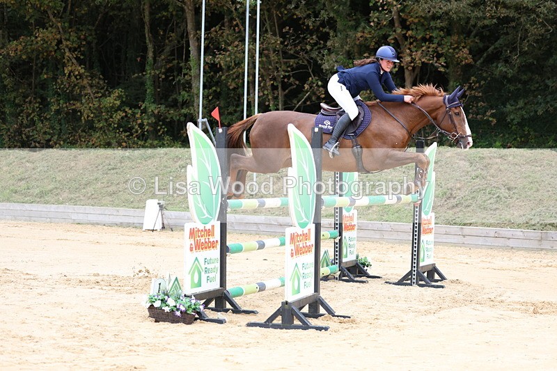 3E7A3346 - Class 9: Senior Foxhunter/1.20 open