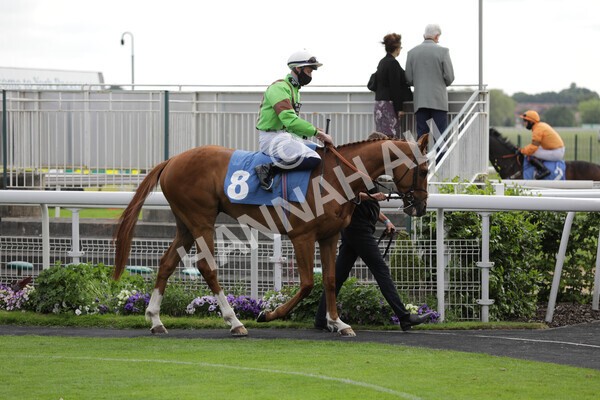 yr11062021r7-3 - Race 7 5.05pm SASH Charity Stakes