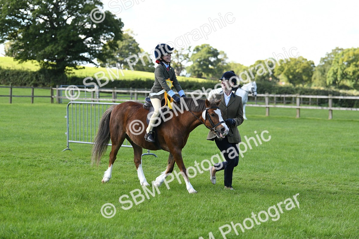 SBM_39708 - S18 - Novice & Newcomers Lead Rein Pony