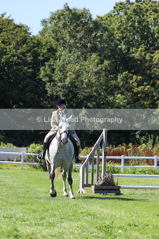 3E7A8259 - Class 4: Novice working Hunter