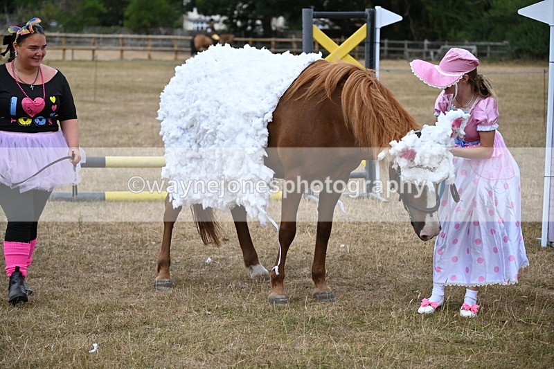 WJ6_8721 - Class 11 Fancy Dress