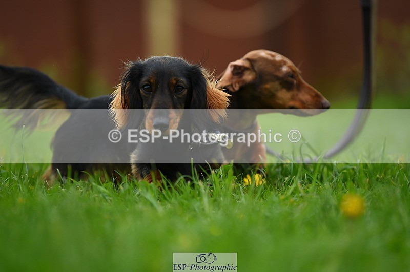 230505A-112806-03693 - Cls 21 Snr 1.20m Open