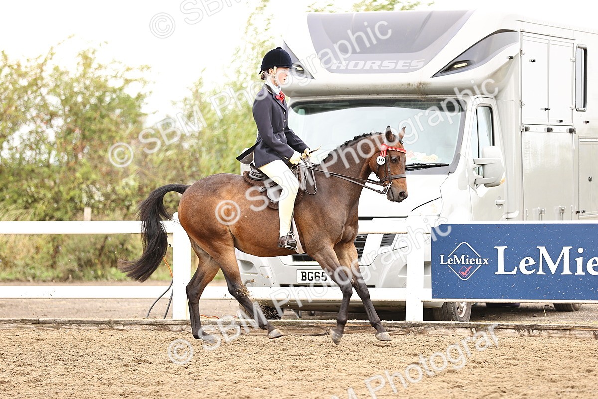 SBM_01356 - Class 54 - Riding Club Horse Pony