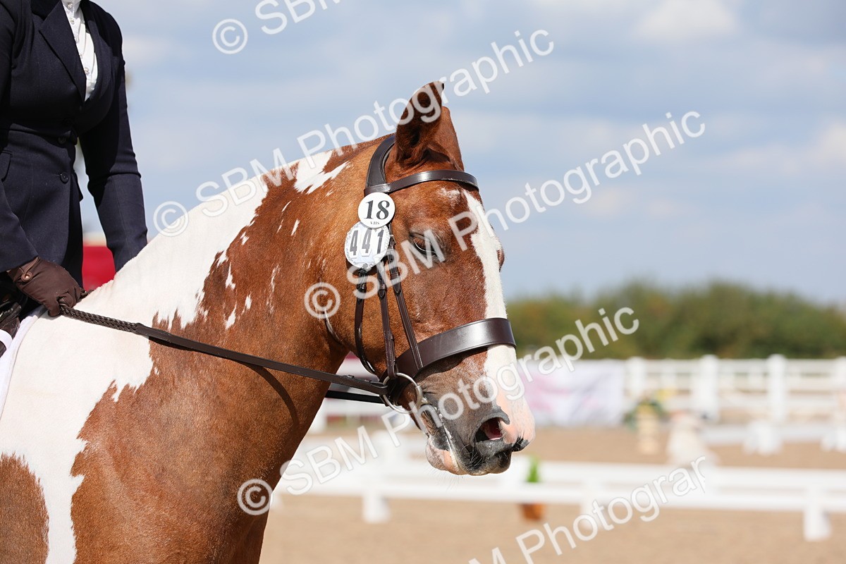 SBM_04133 - Class 31 Prelim 1