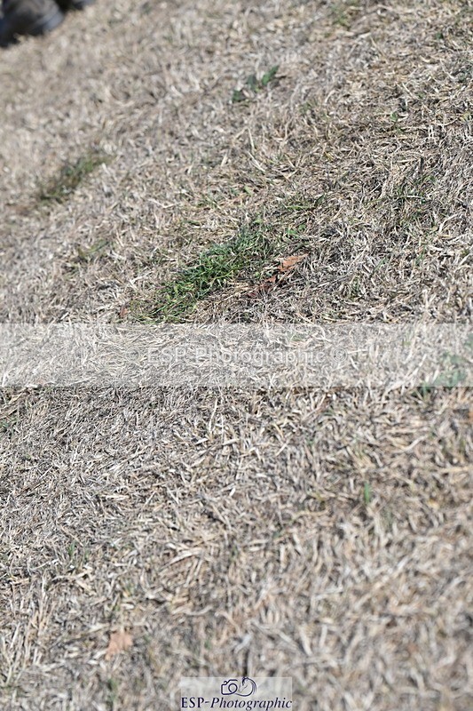 250824A-165435-39774 - PC80 Presentations