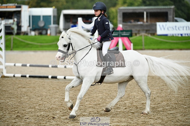 251004A-110551-00528 - Classes 4 & 5 50cm