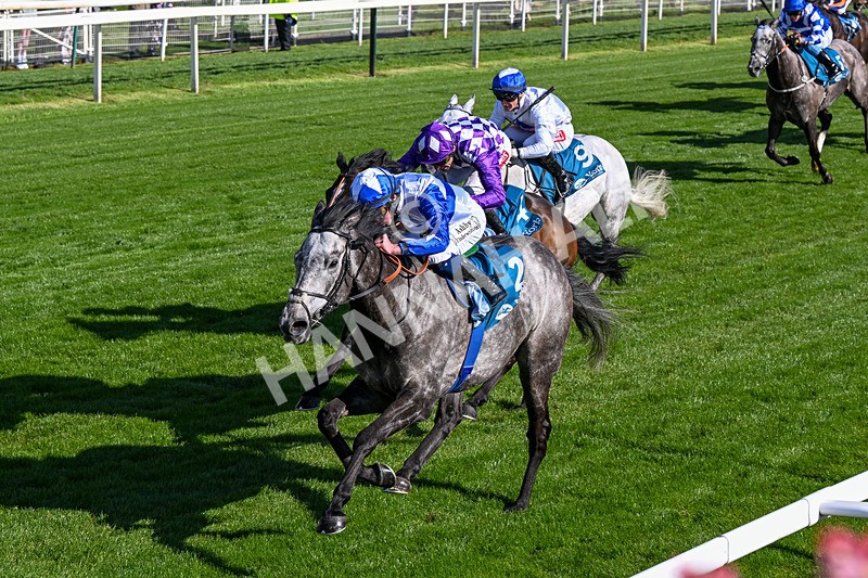130526-Race 7-Master Builder-0448 - Race 7 5.15pm Stuey Weston & Friends Getting Out Handicap
