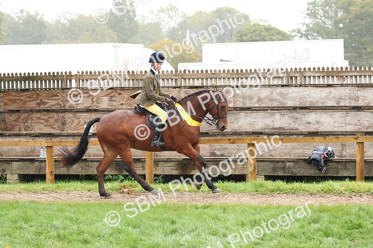 SBM_73132 - Ridden Pony Supreme Championship