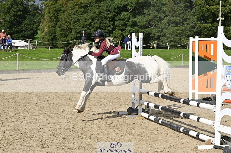 251005A-122118-03738 - Cls 08 Mini 70-75cm