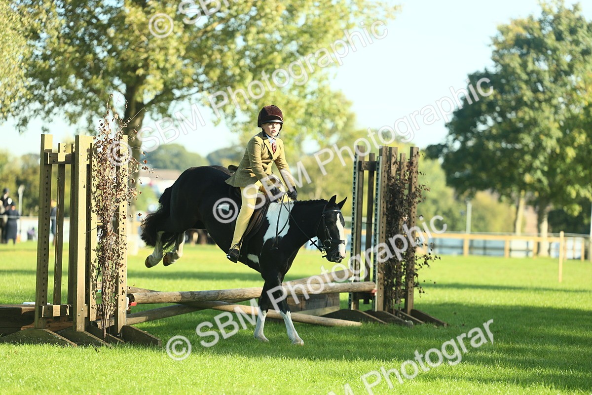 SBM_36398 - S29 - Novice & Newcomers Working Hunter Pony