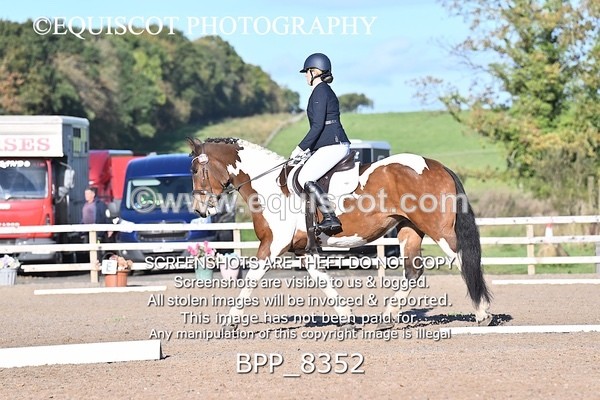 BPP_8352 - SHORT ARENA INTRO 1