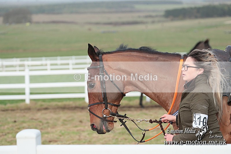 PtP 311223 175 - Larkhill Racing Club Point-to-Point 31/12/23